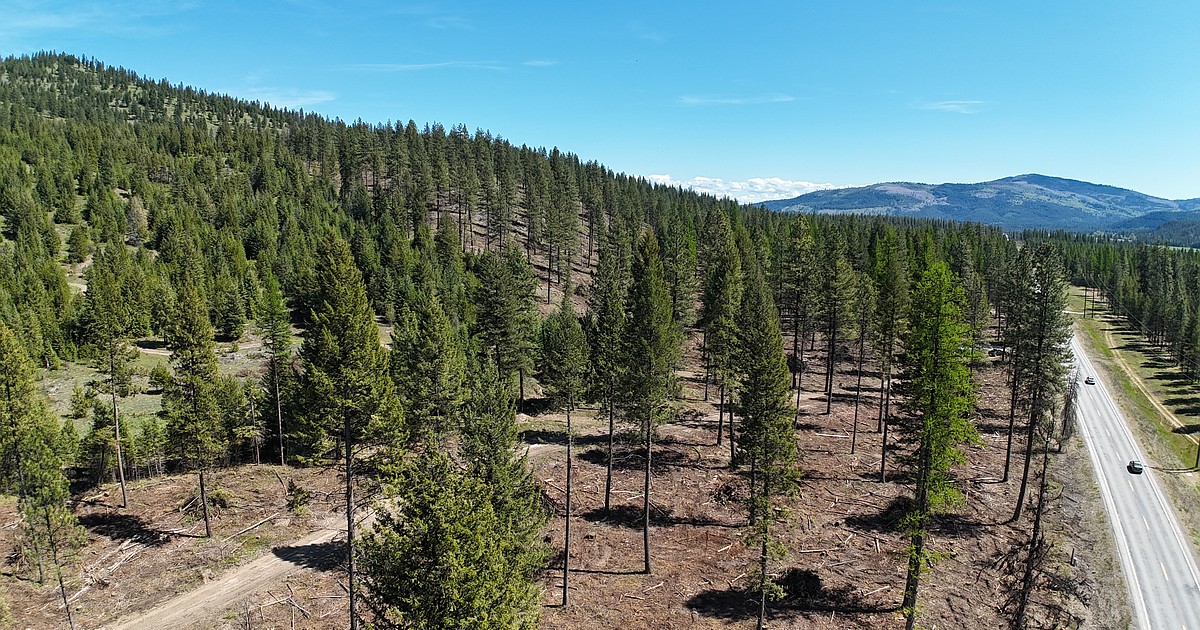 $1M earmarked for North Idaho forests