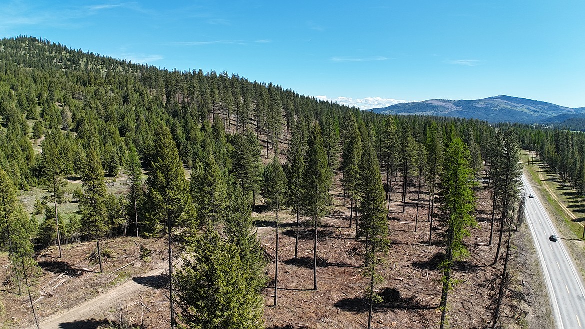 Aerial shots show a thinned area in the Idaho Panhandle National Forest to reduce the threat and severity of wildfire. The species that remain, primarily ponderosa pine Douglas-fir and western larch, are fire adapted and more drought tolerant, forestry officials said.
