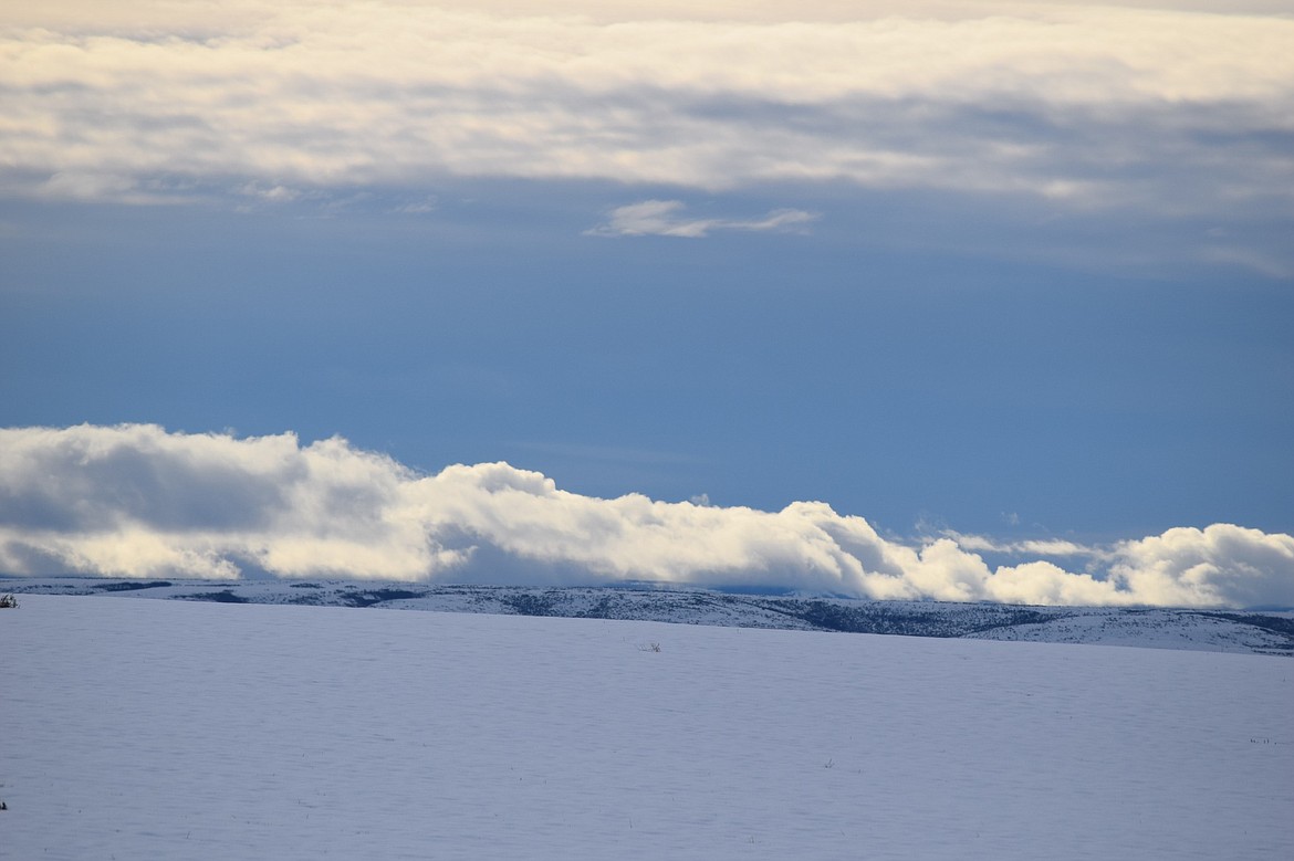 A winter view of the fields before entering Waterville while traveling from east to west on U.S. Hwy. 2. Along the way, it is common to see various raptors hunting while flying over the fields during winter or summer.