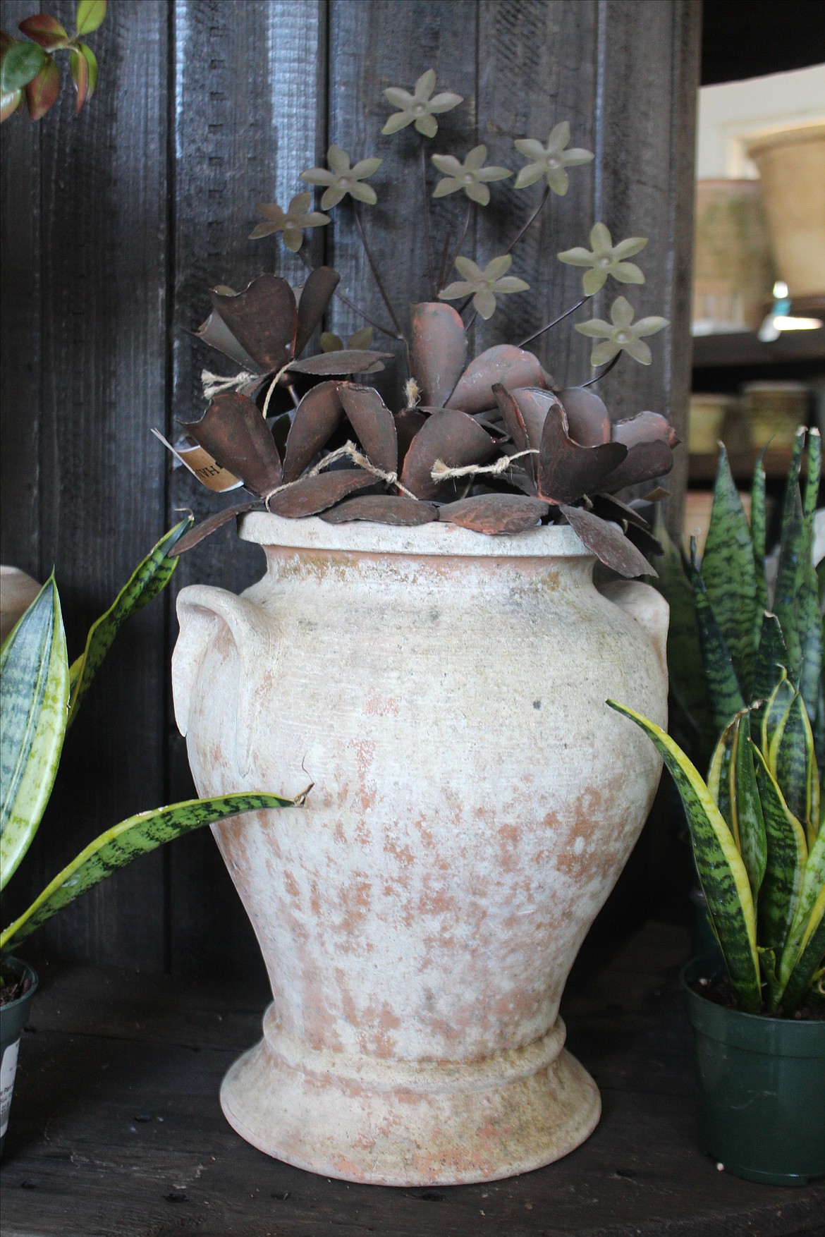 Plants in pots, like this example at Blue Rouge Nursery, provide plenty of options for outdoor decoration.