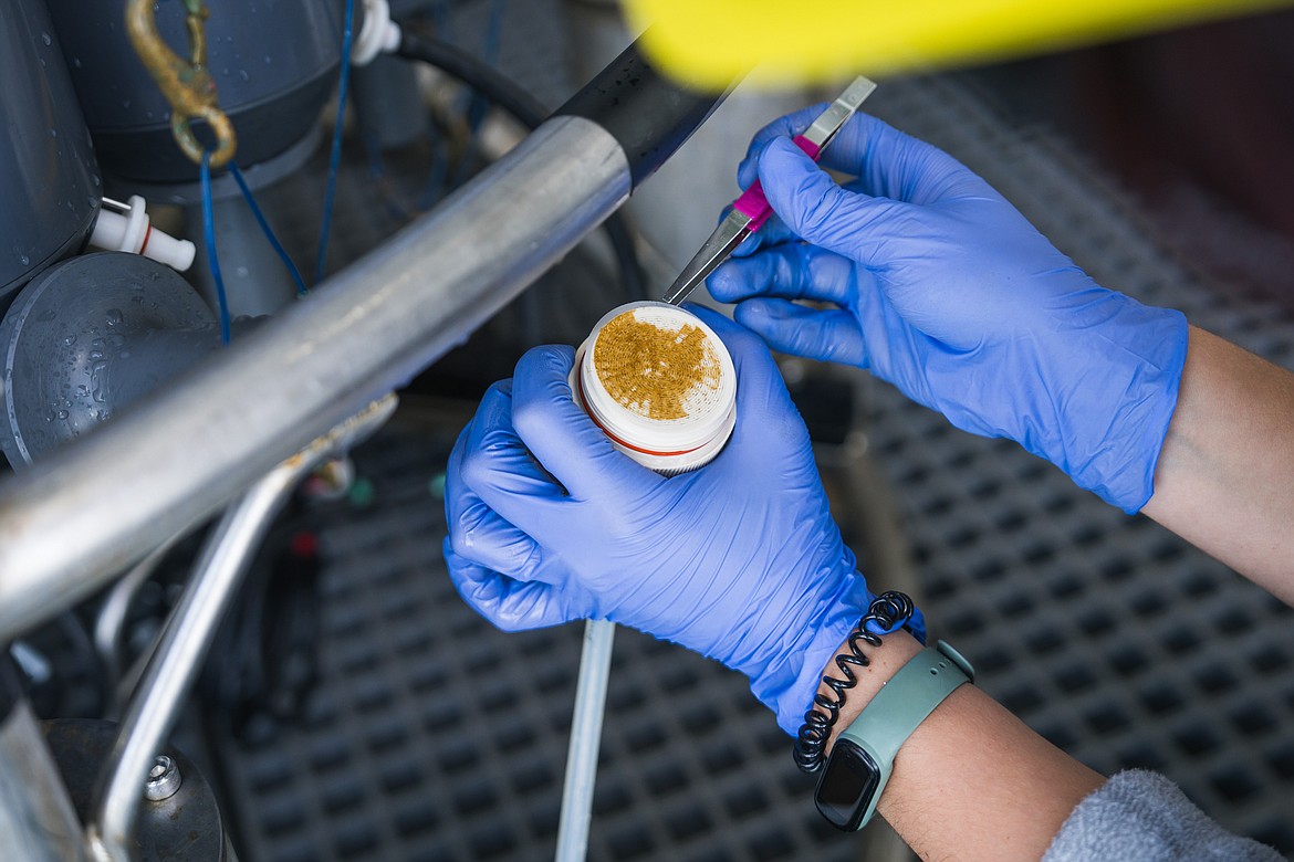 A filter containing microbes is removed from one of the water filters on the CTD rosette. "CTD" stands for conductivity, temperature, and depth, and refers to a package of electronic devices used to detect how the conductivity and temperature of water changes relative to depth. (Alex Ingle / Schmidt Ocean Institute)