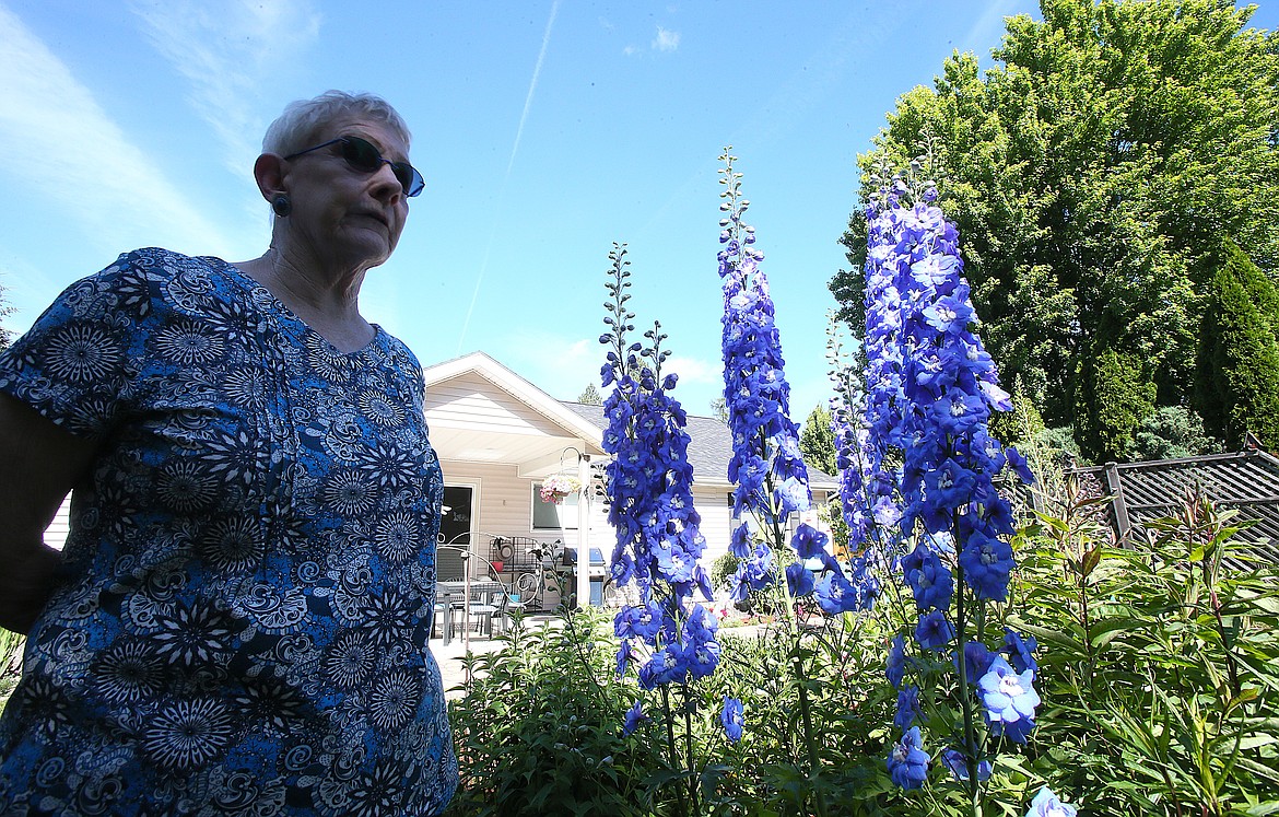 Marilyn Nenzel is seen Monday morning with her brilliant blue delphiniums, which are among many colorful plants and flowers in her Hayden backyard garden.