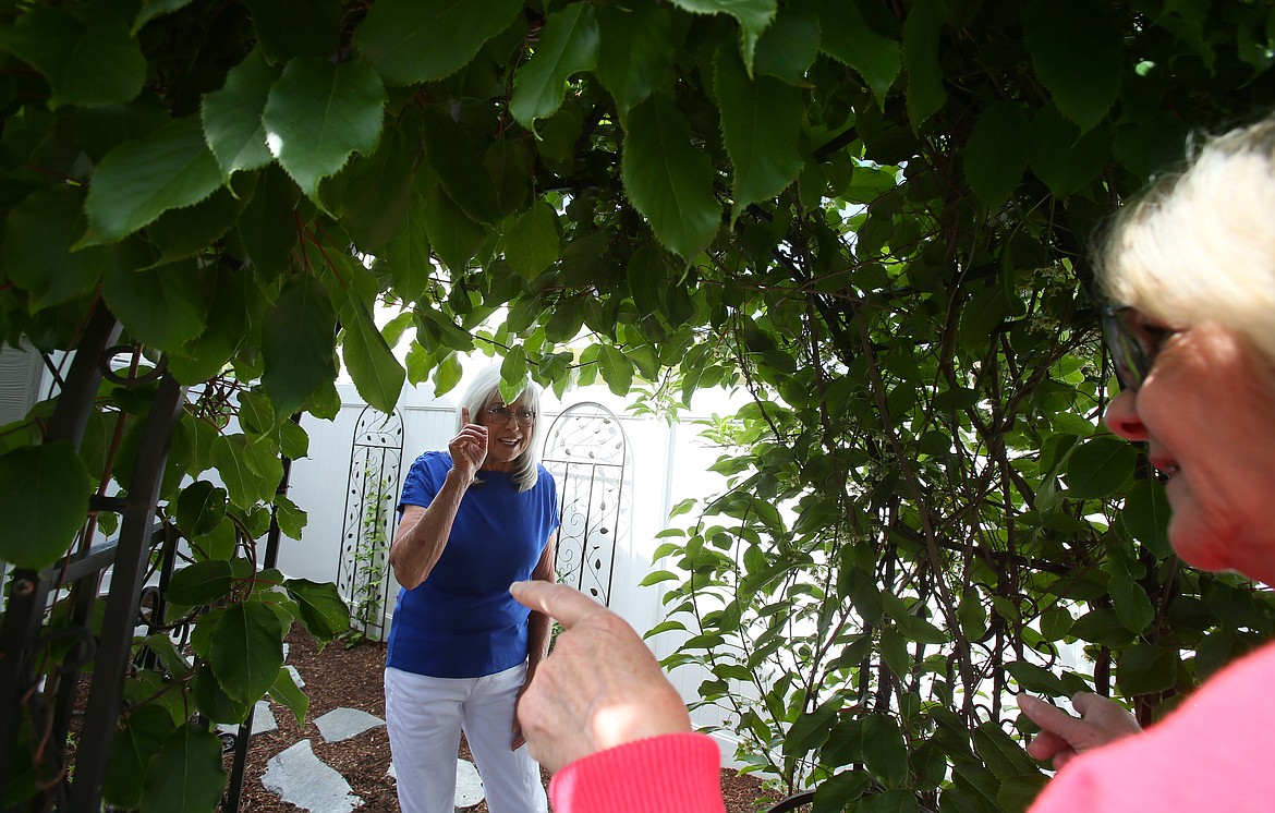 Carolyn Summers, left, points up at her kiwiberry arbor Monday morning while chatting with Coeur d'Alene Garden Club President Rhoda King. Summers' yard will be among six local gardens to be featured July 7 on the 2024 Garden Tour.