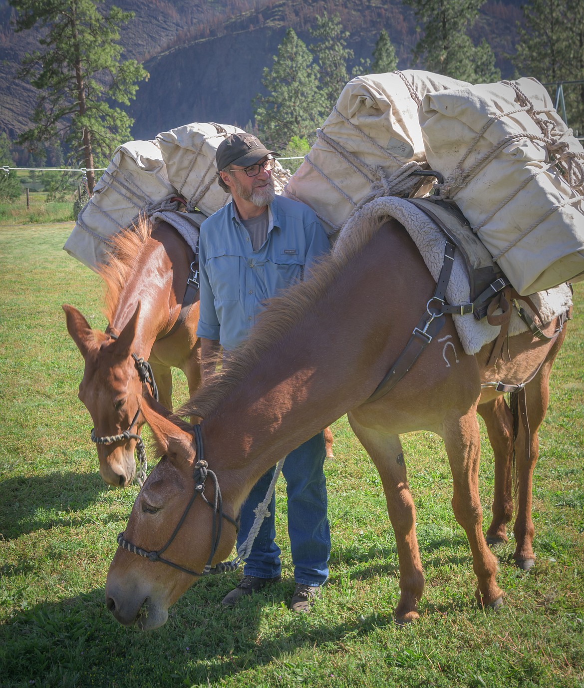John Errecart, president of the Wild Horse Plains Back Country Horsemen, demonstrates how to pack mules. (Tracy Scott/Valley Press)