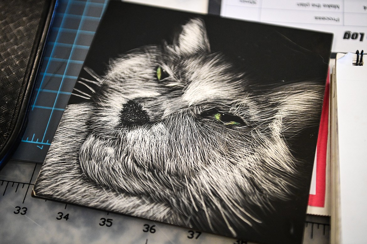 Flathead High School student Cassidy Hanson's depiction of her cat named Mr. Kitty on scratchboard. (Casey Kreider/Daily Inter Lake)