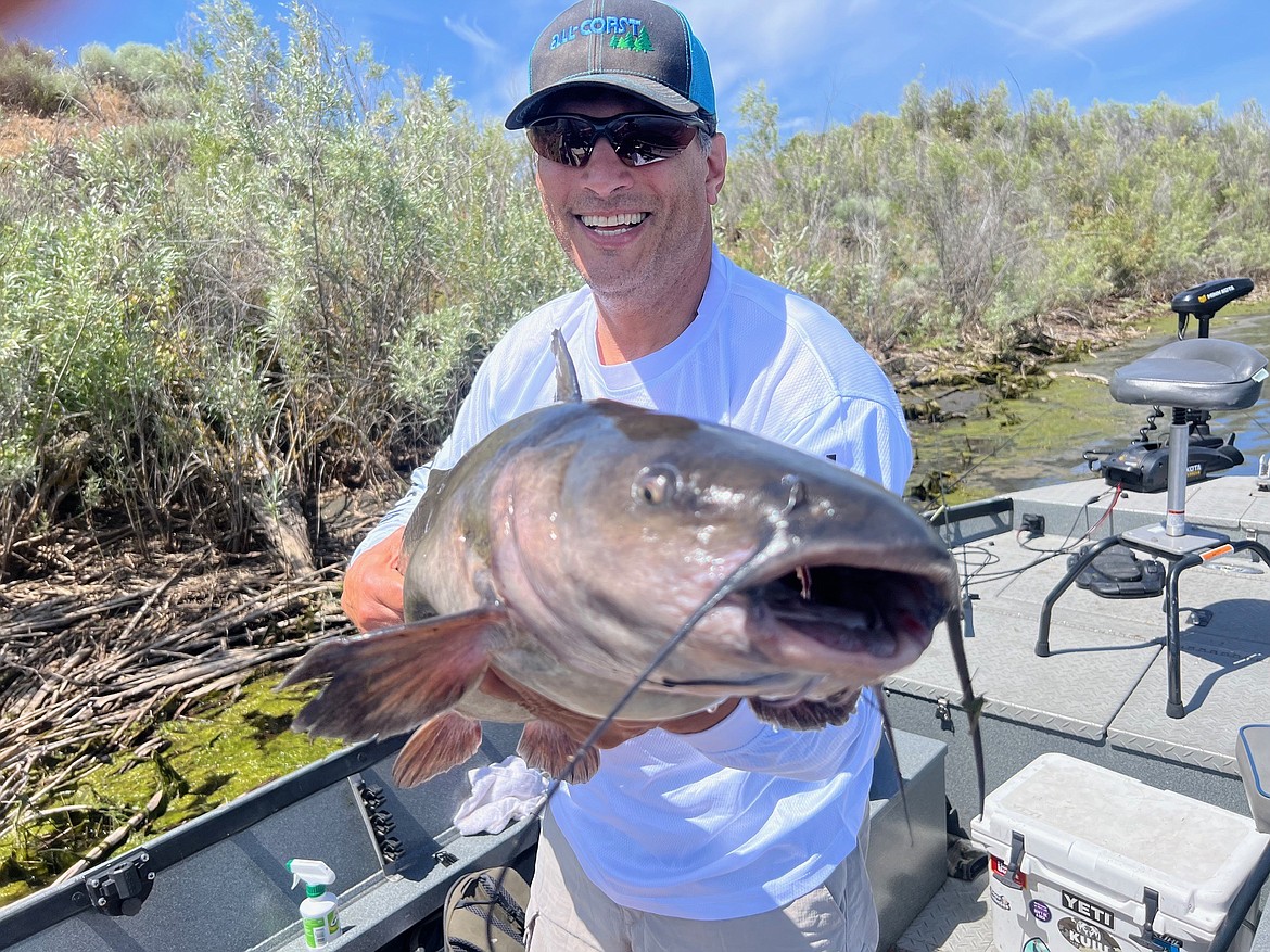 Michael Ghosn caught this 19-pound Potholes Reservoir Channel catfish while fishing for bass in the sand dunes.