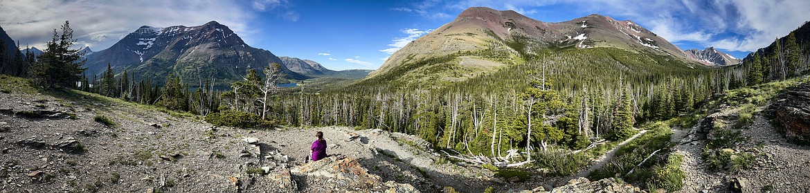 Panorama from the Aster Park Overlook in Two Medicine in Glacier National Park on Sunday, June 23. (Casey Kreider/Daily Inter Lake)