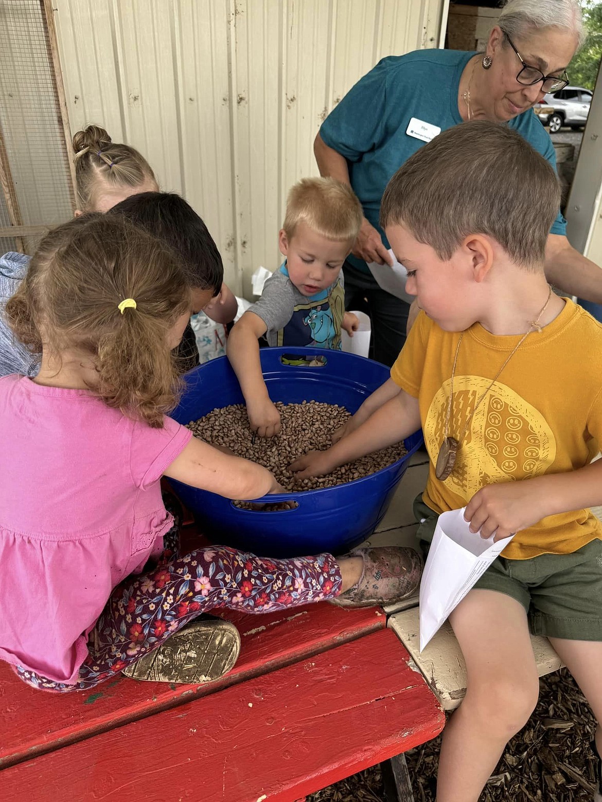 Participants in Cloudview Farm’s Lil’ Sprouts program participate in an activity involving beans. The program teaches young children about where their food comes from and allows them to explore the world at the farm.