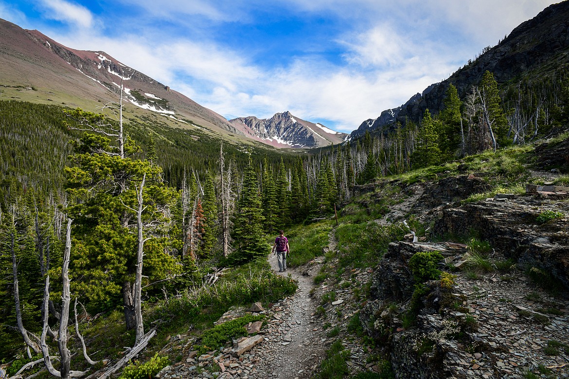 Heading back to the trailhead from the Aster Park Overlook in Two Medicine in Glacier National Park on Sunday, June 23. (Casey Kreider/Daily Inter Lake)