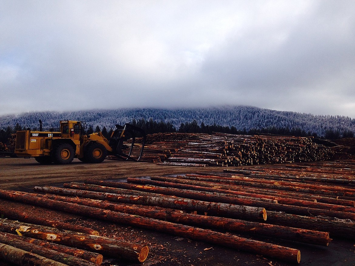 Stimson invests 50M in mill Coeur d'Alene Press