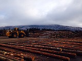 Stimson invests $50M in mill