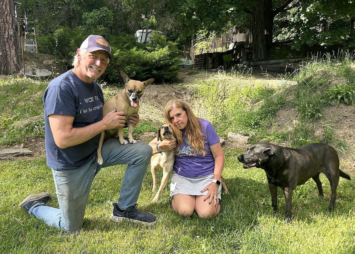 Jim and Karen Styner with their dogs, Mr. Bay, Kismet and Frankie in the backyard of their Fernan home.