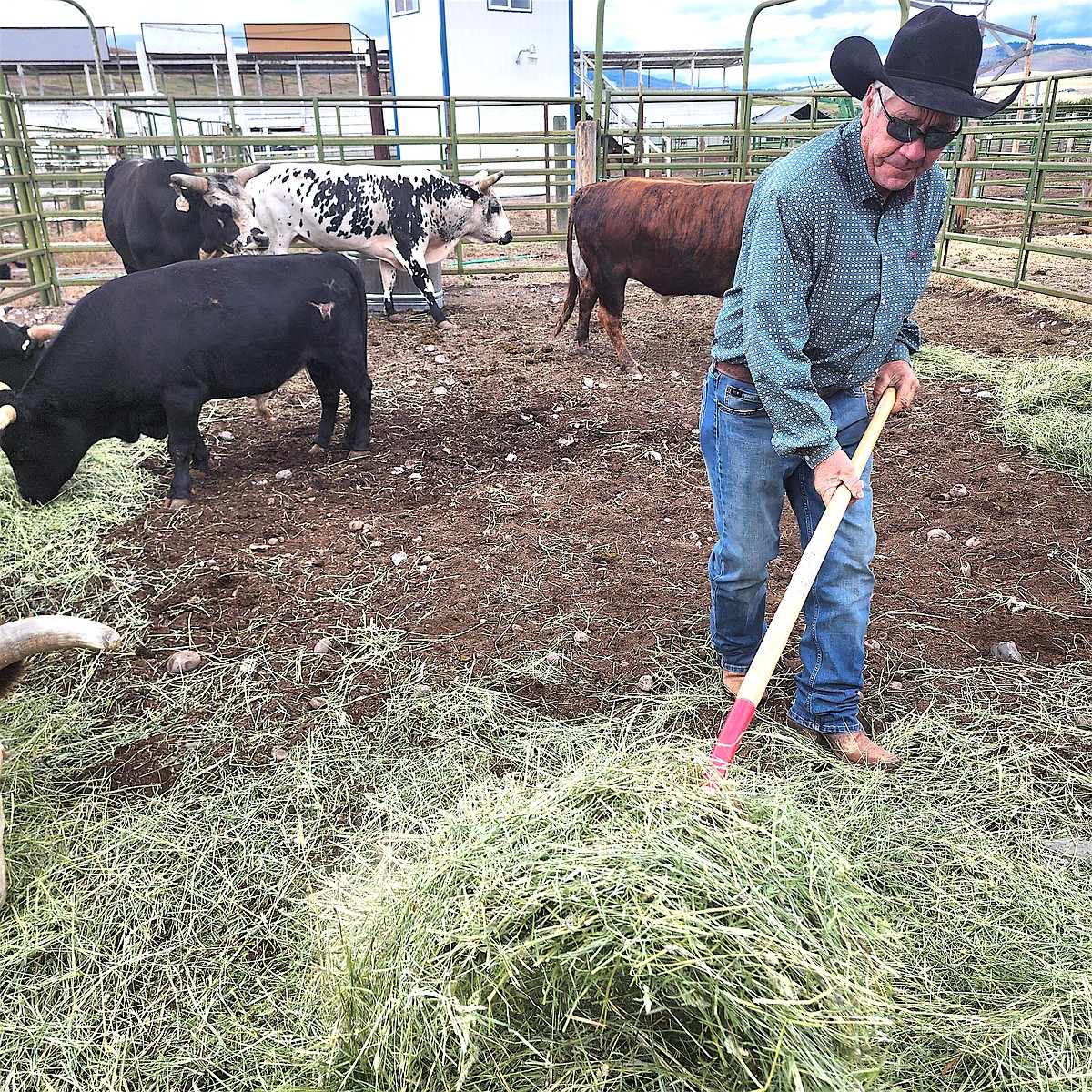 406 Rodeo 406 Rodeo focused on the future of rodeo | Lake County Leader