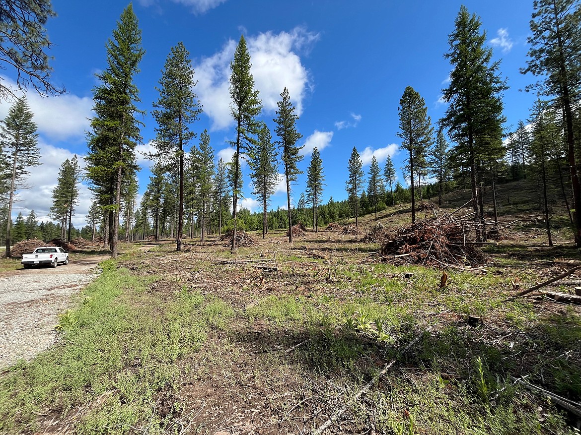 North Idaho forests get $4.8M investment in wildfire mitigation | Coeur ...