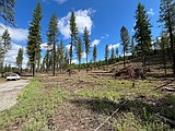 North Idaho forests get $4.8M investment in wildfire mitigation