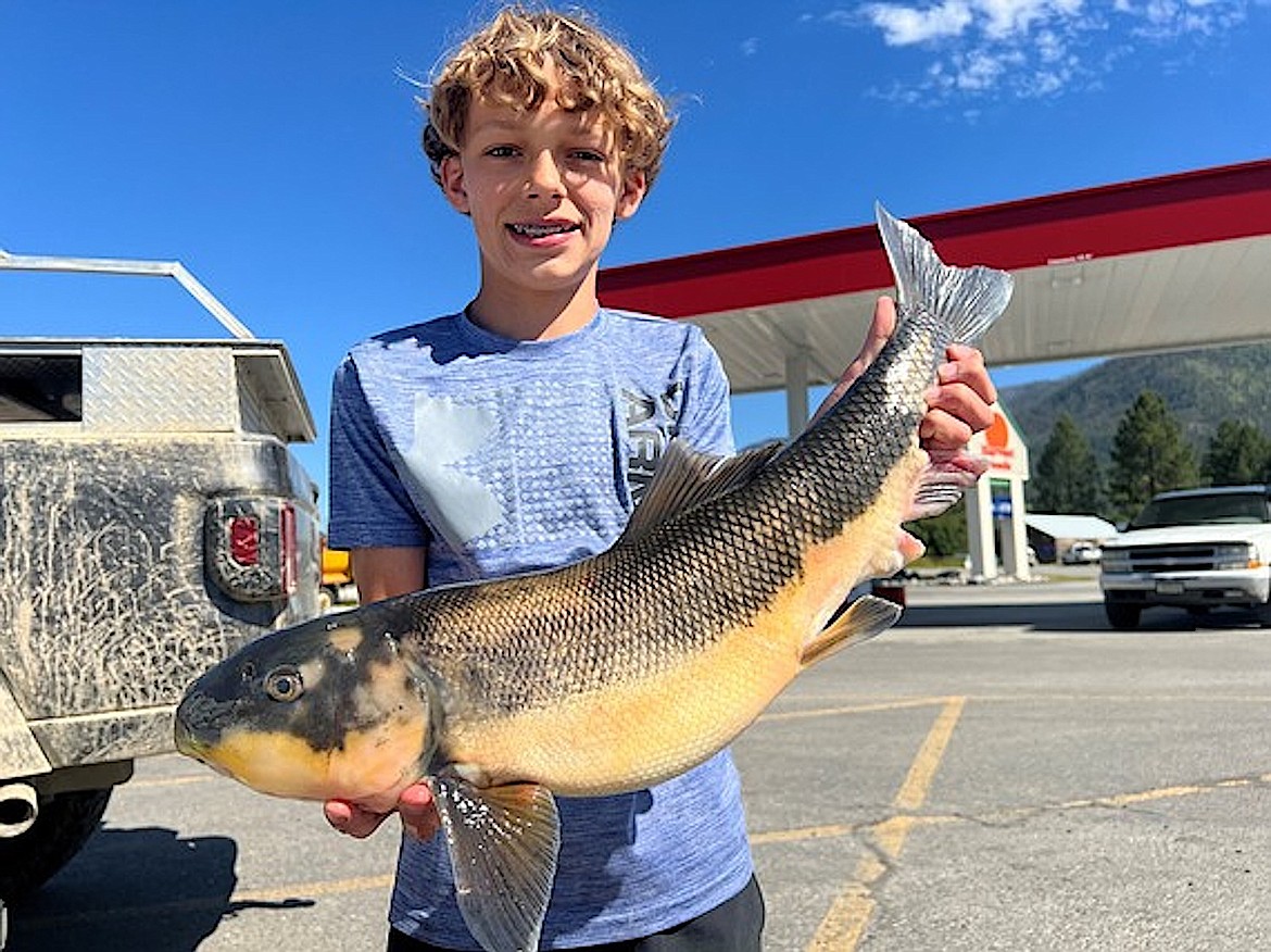 Wade Merschat, 12, of Trout Creek, used a nightcrawler to land a 6.72-pound largescale sucker from Noxon Reservoir in Sanders County on June 19. (Courtesy photo)