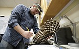 To save spotted owls, U.S. officials plan to kill hundreds of thousands of another owl species
