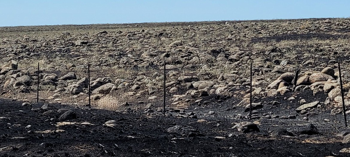 The charred ground is all that remains of the fast-growing – and fast-extinguished – Marksman Road Fire that closed SR 17 near Ephrata Tuesday.