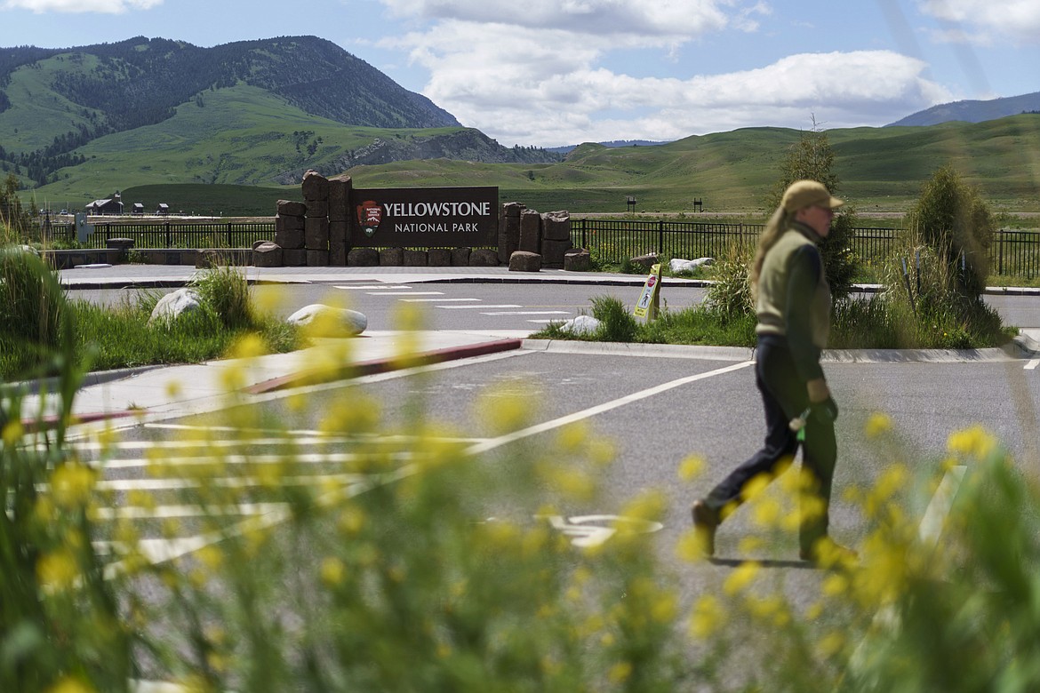 A pedestrian walks past the entrance to Yellowstone National Park, June 15, 2022, in Gardiner, Mont. (AP Photo/David Goldman, File)