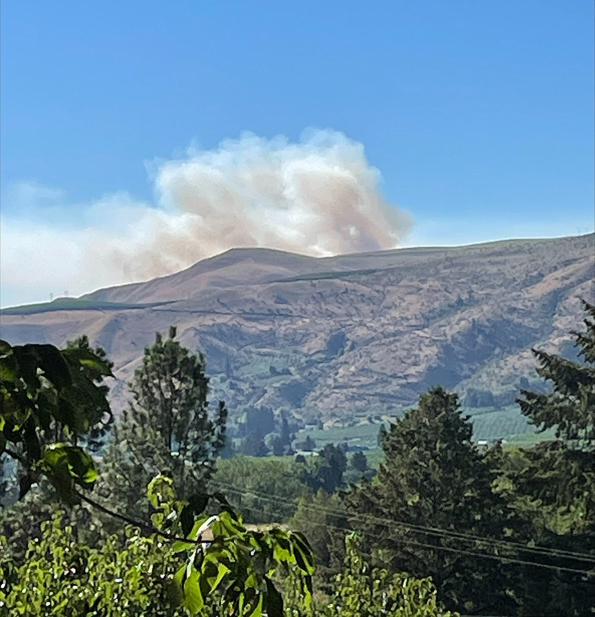 The Balsam Root Fire burning just outside Wenatchee had grown to 250 acres Saturday.