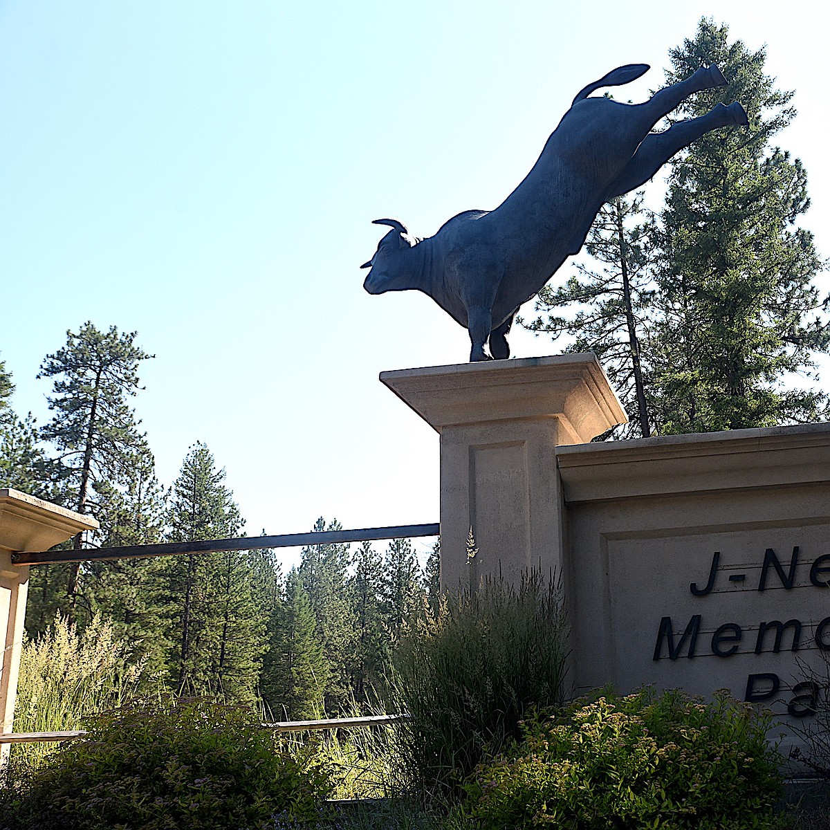 J. Neils bull statue getting some company | Western News