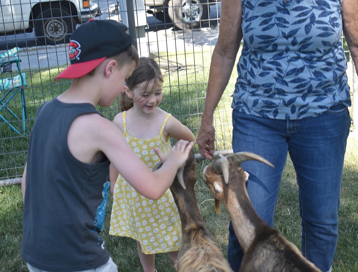 Four-year-old Sophia MacLeod, right, and her cousin Nolan Bellonio, 9, get acquainted with a goat at the petting zoo at Soap Lake’s Suds ‘N Sun festival Saturday.