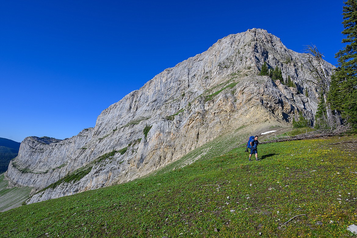 Hoadley Creek Pass.