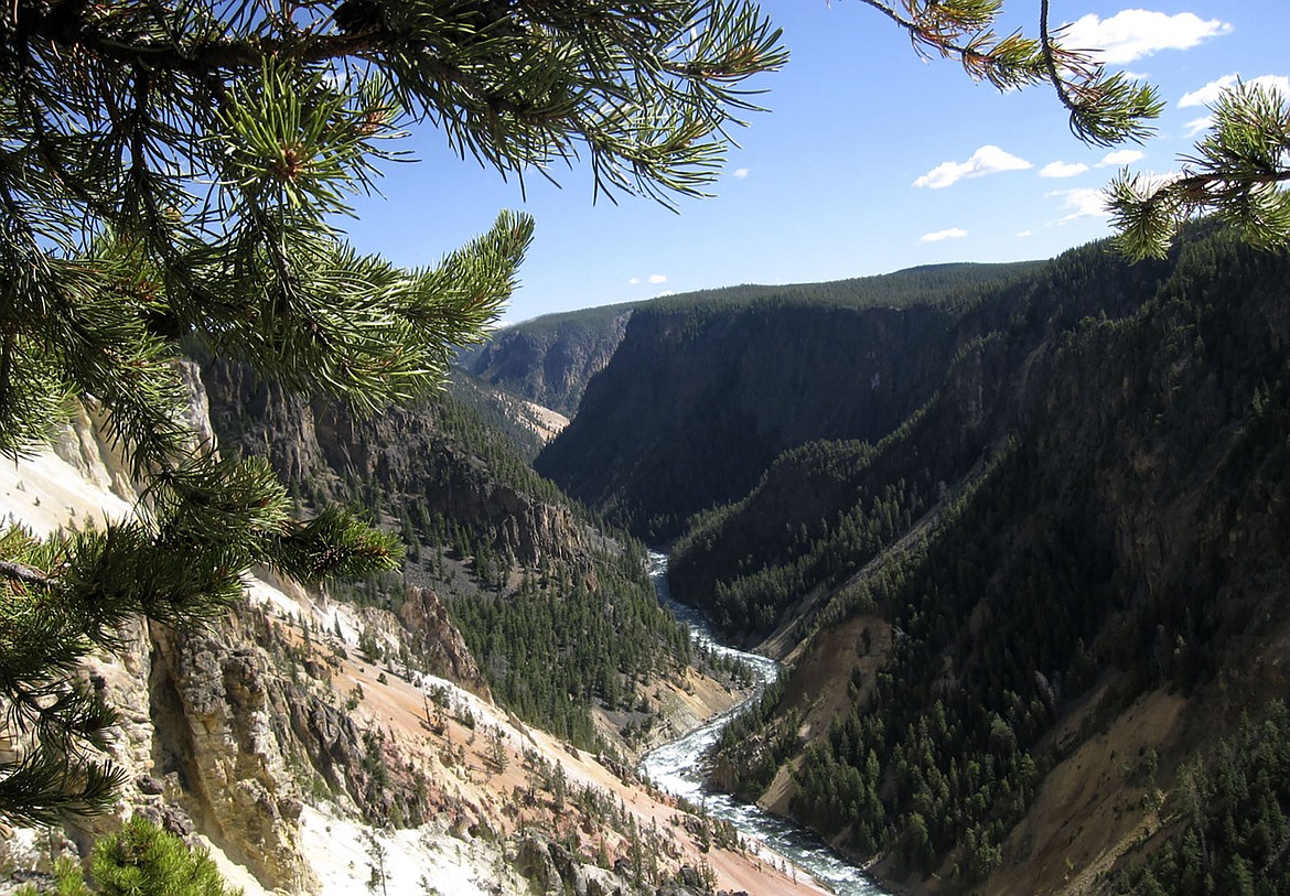 The Grand Canyon of the Yellowstone is shown September 2009, in Yellowstone National Park, Wyo. Samson Lucas Bariah Fussner is accused of firing a semiautomatic rifle at the entrance of a Yellowstone National Park dining facility with some 200 people inside on Thursday, July 4, 2024. Before the shooting, Yellowstone National Park rangers said Fussner held a woman at gunpoint at a residence near the Grand Canyon of the Yellowstone. (AP Photo/Beth Harpaz, File)