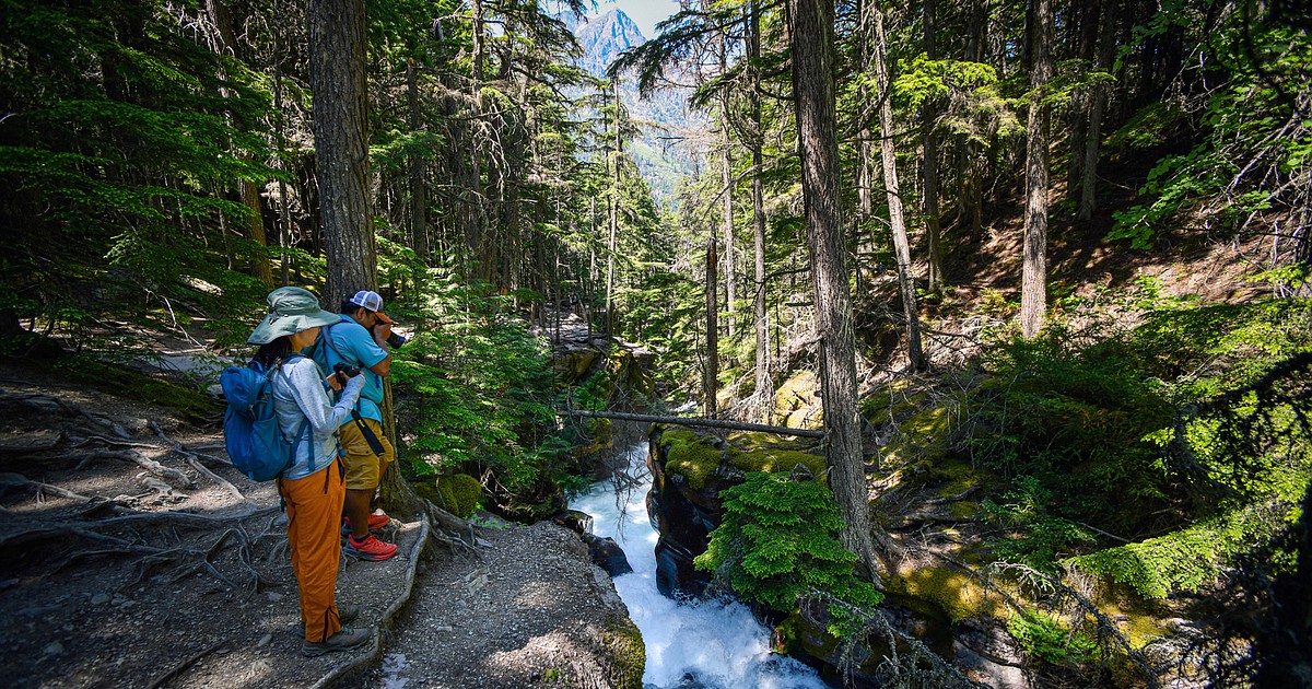 Like many of Glacier s waterways Avalanche Creek has a deadly past Daily Inter Lake