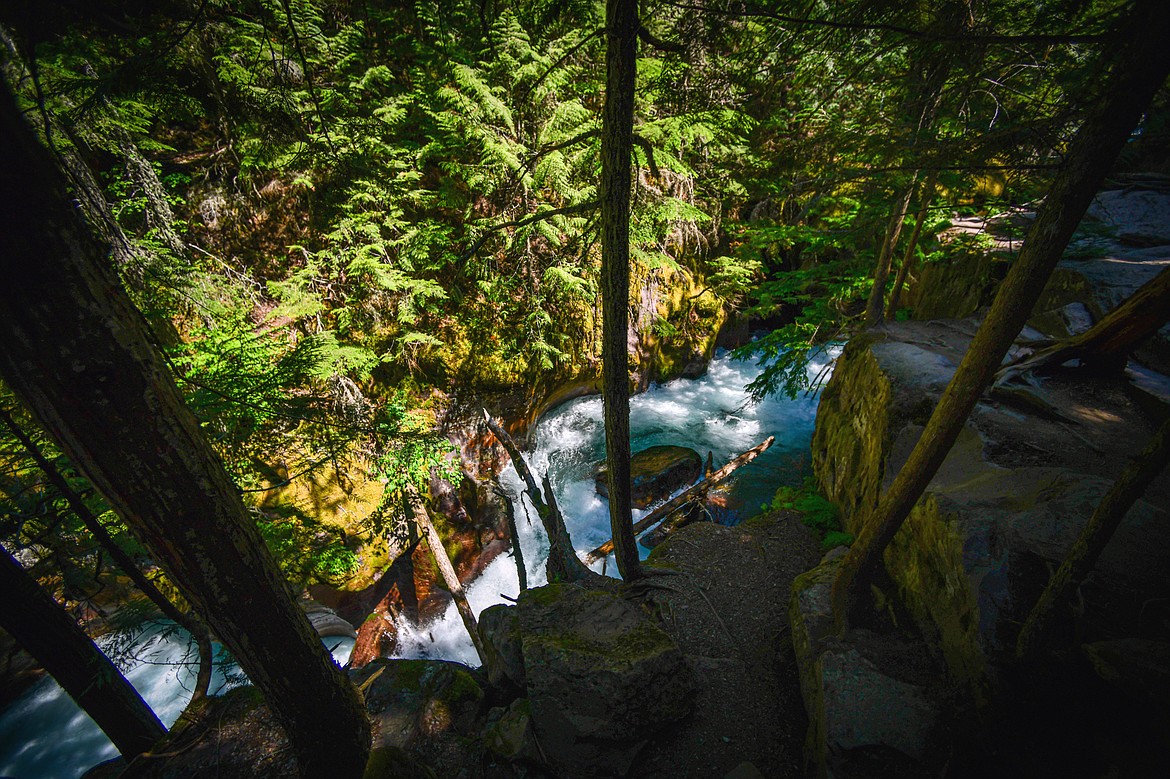 Avalanche Creek rushes through the gorge near the start of the Avalanche Lake trail in Glacier National Park on Thursday, July 11. (Casey Kreider/Daily Inter Lake)