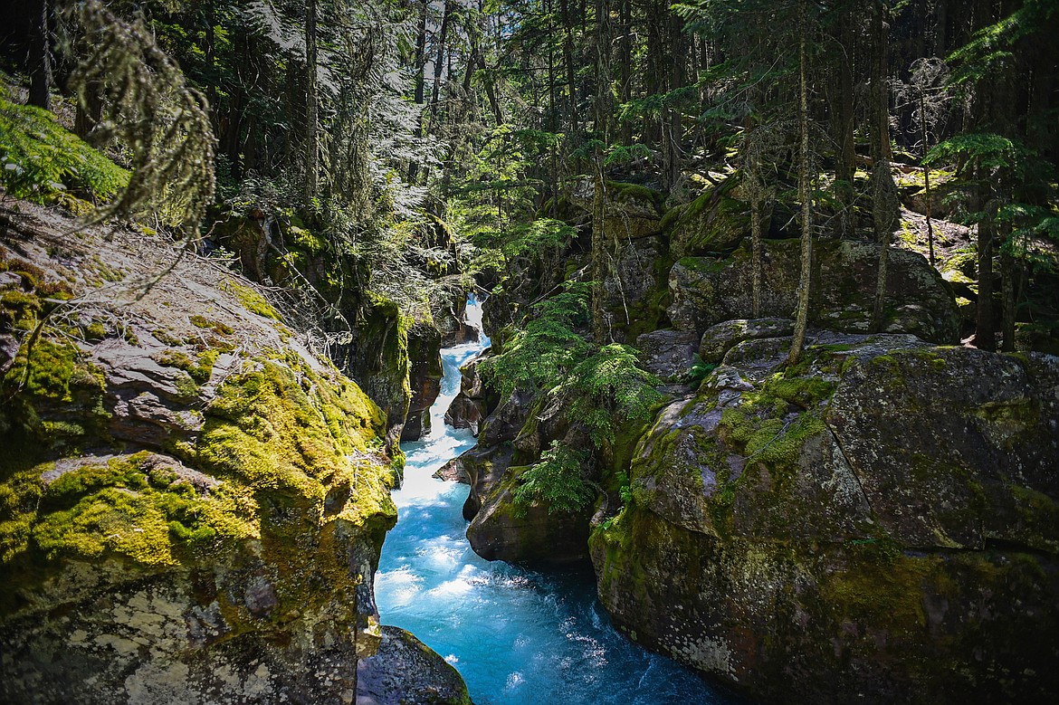 Avalanche Creek rushes through the gorge near the start of the Avalanche Lake trail in Glacier National Park on Thursday, July 11. (Casey Kreider/Daily Inter Lake)