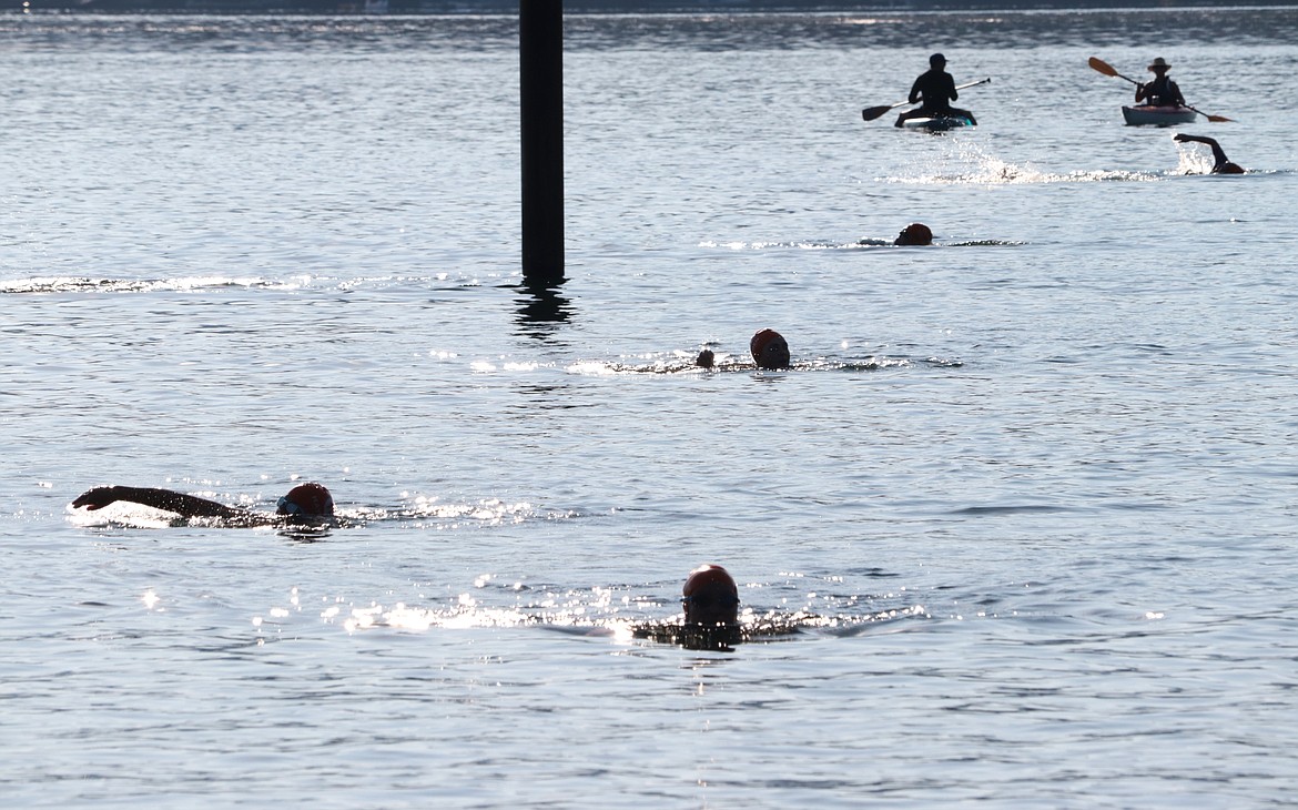 Swimmers make their way to shore in the Hayden Triathlon on Saturday.