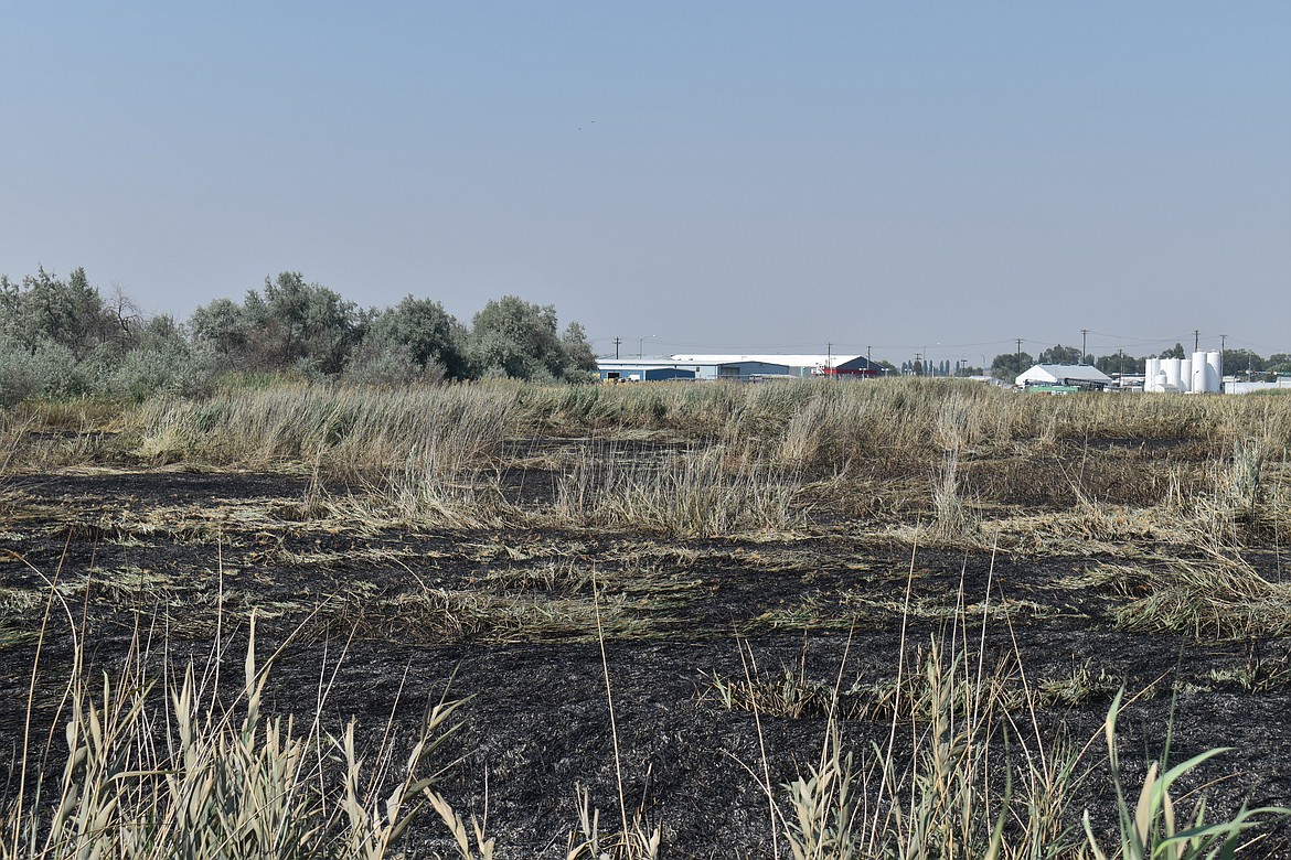 This marshy field between East Broadway Avenue and Wheeler Road caught fire early Monday morning. The cause is under investigation.