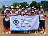 Little League teams on to the state playoffs