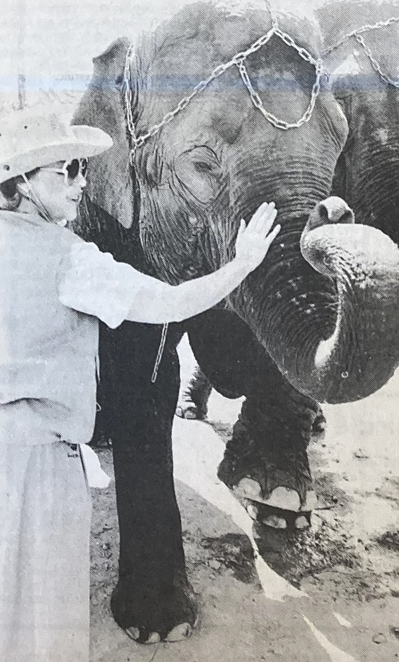 Coeur d’Alene councilwoman Dixie Reid prepares for an elephant race.