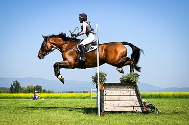 Lara Chance rides OSH Goodbye over a jump on the course during Training Three-Day cross-country at The Event at Rebecca Farm on Friday, July 19. (Casey Kreider/Daily Inter Lake)