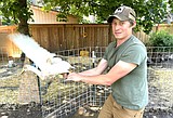 Coeur d'Alene man hopes to get his ducks in a row.
