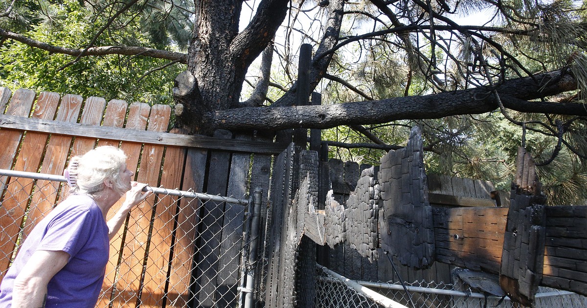 Tree, fencing, wires torched in Coeur d&rsquo;Alene blaze | Coeur d 