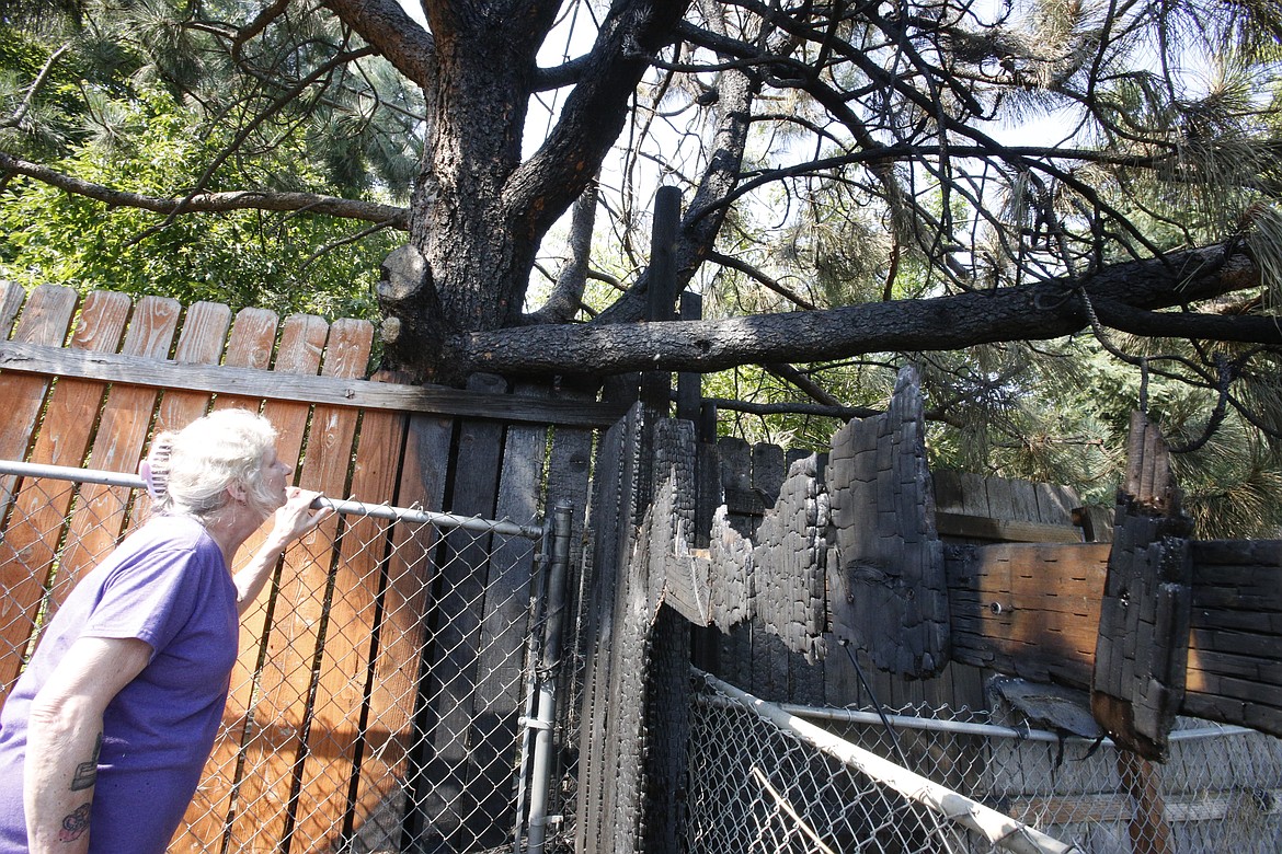 Tree, fencing, wires torched in Coeur d&rsquo;Alene blaze | Coeur d 