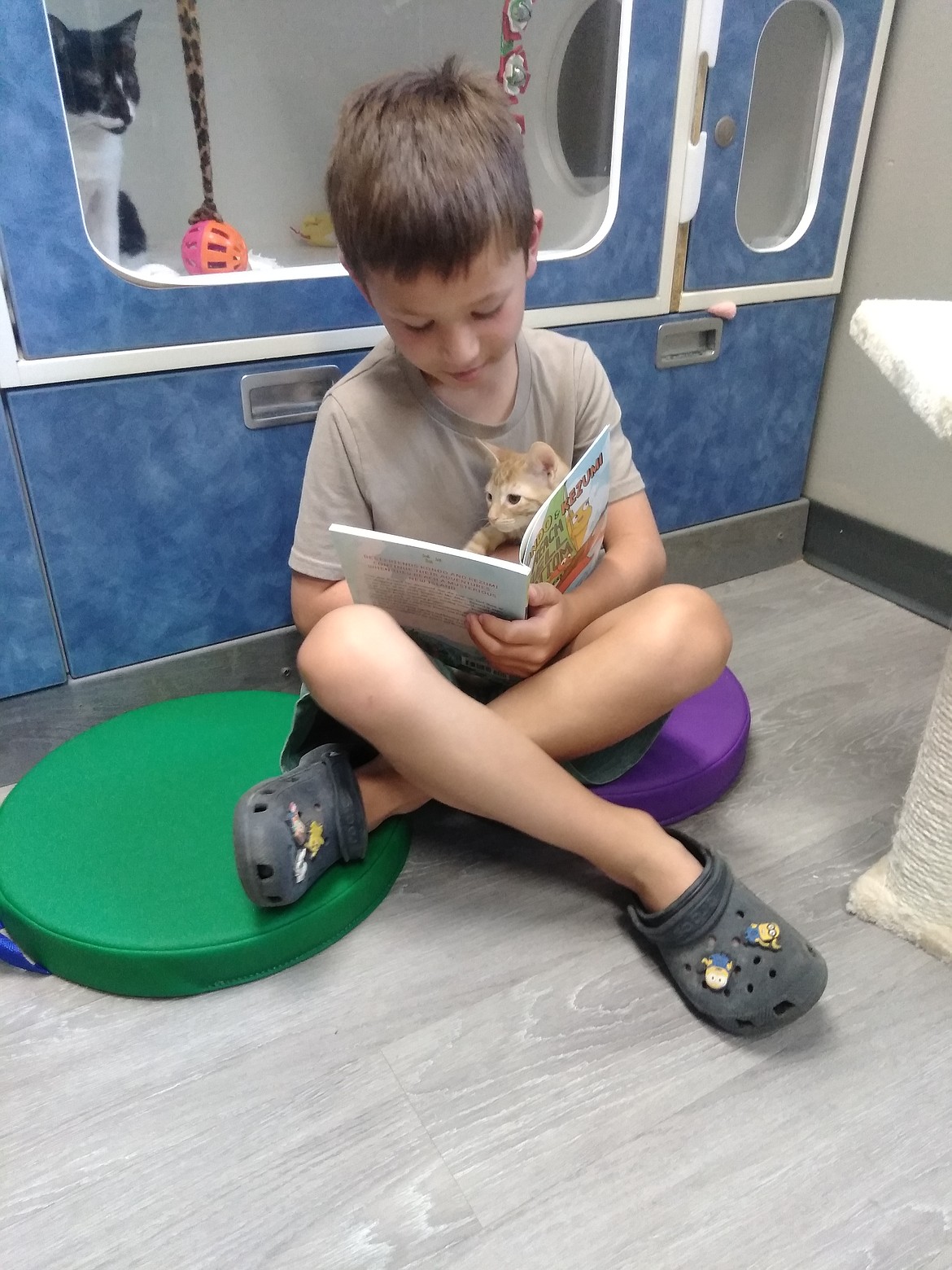 A boy reads “Kondo & Kezumi Reach Bell Bottom” by David Goodner to a kitten at Adams County Pet Rescue’s Kitty Litterature Day.