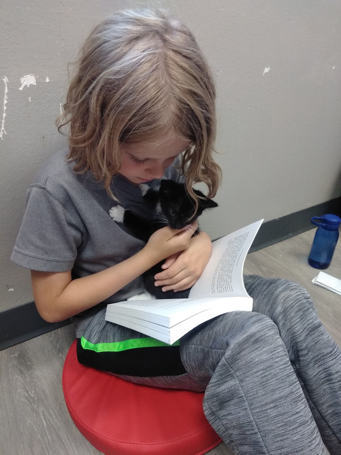 A child reads at Adams County Pet Rescue’s Kitty Litterature Day while a kitten gives his face a sniff. The readers brought their own books, of varying reading levels.