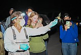 For bat researchers, tender is the night