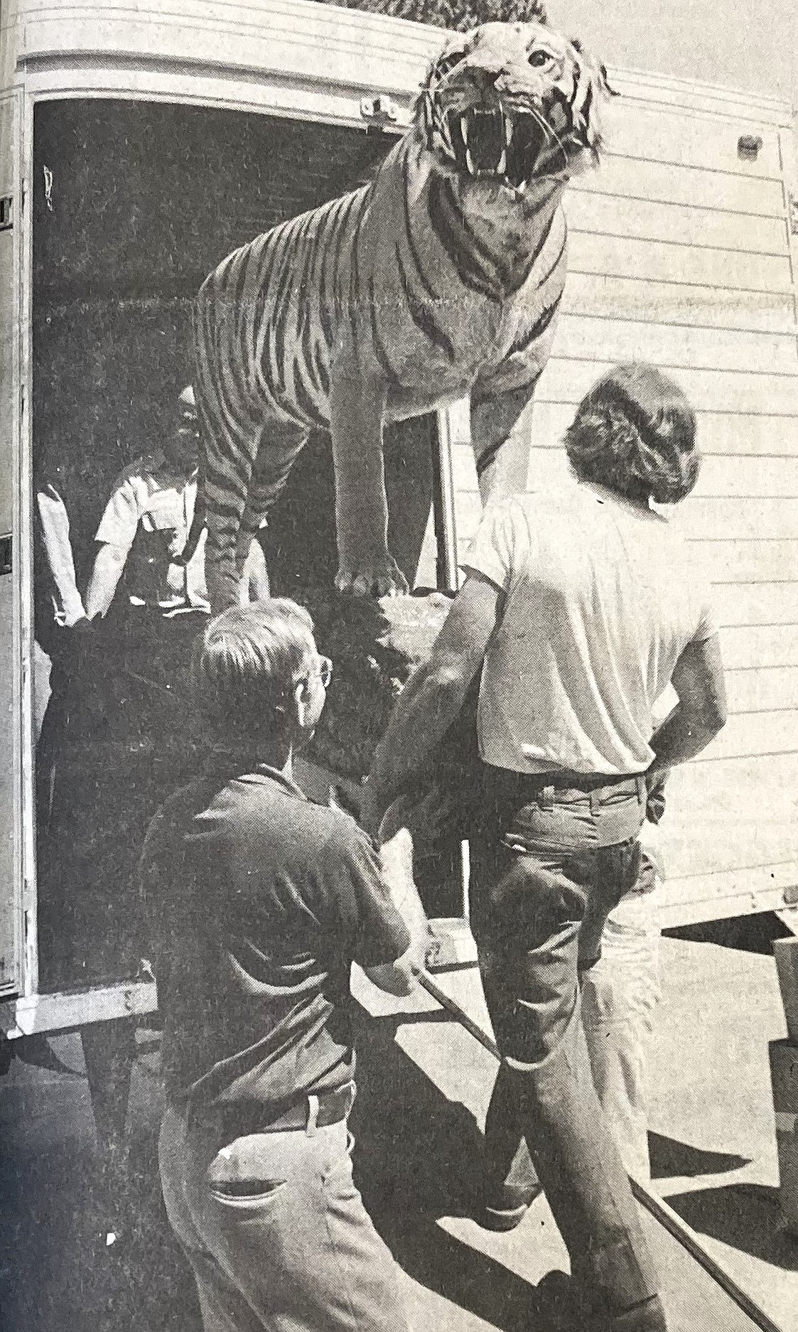 In 1979, a killer tiger from India was unloaded at the Museum of North Idaho on Northwest Boulevard by Jack Pierce and Gary Martin.