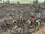 North central Idaho’s Texas Fire 80% contained