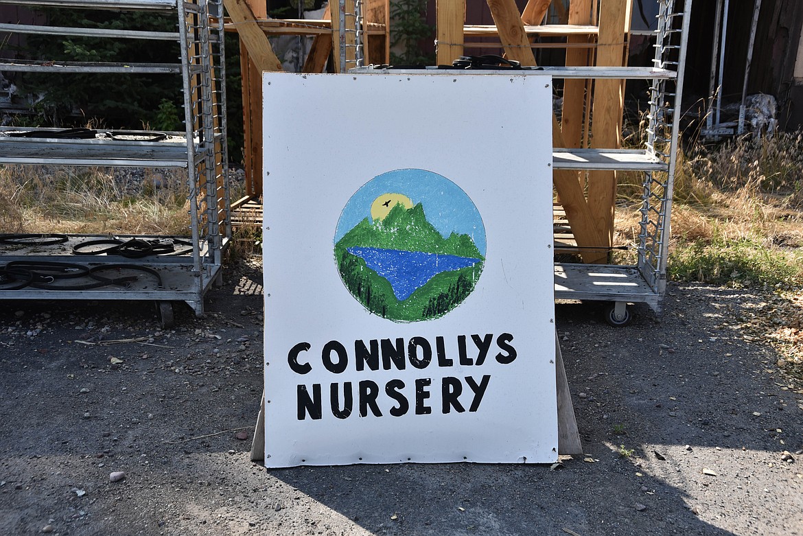 Connolly's Nursery in Evergreen. (Kate Heston/Daily Inter Lake)