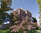 Ries named to Dean’s List at Linfield