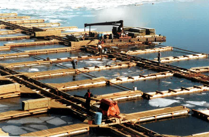 Crews assemble pieces of The Coeur d'Alene Resort Boardwalk Marina during the cold winter of 1984-85.