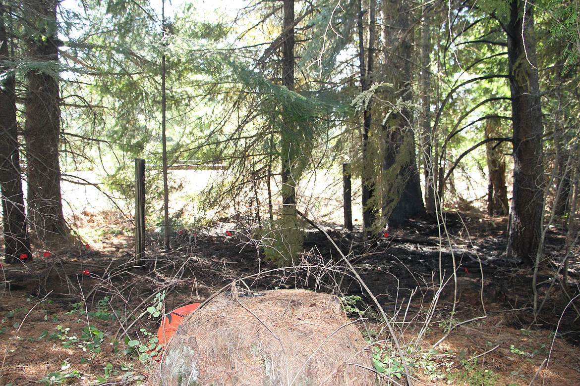 The aftermath of a small wildland fire discovered and contained on July 25 near the Baldfoot disc golf course.