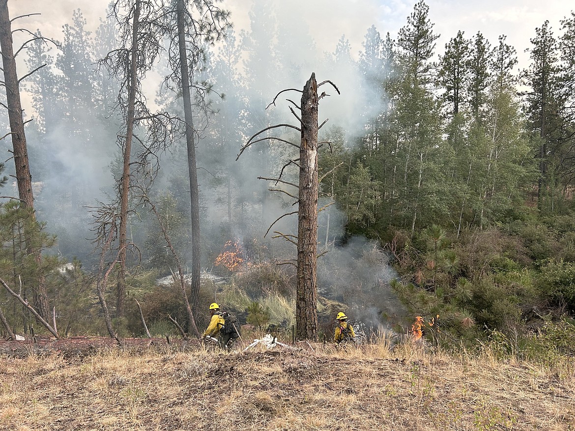 FIRE REPORT: Fires burn over two million acres nationwide | Columbia ...