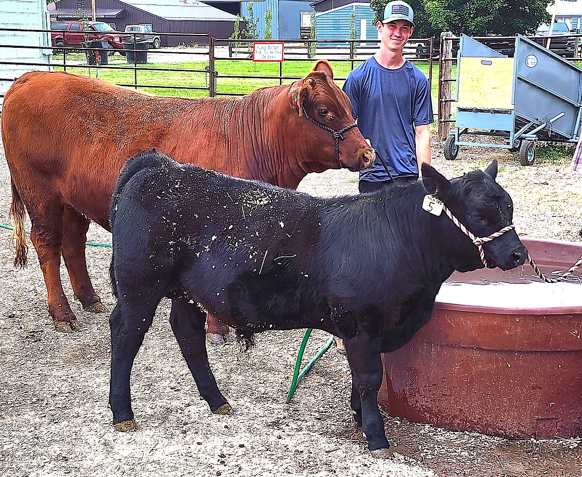 Saddle Mountain 4-Her Lucas Gambrell waters his steer Maverick as Coleton Sherman gives his calf a drink. (Berl Tiskus/Leader)